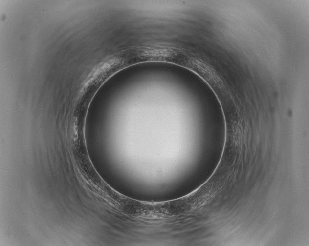 X0000087360731200704201146