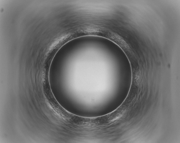 X0000087360732200704201146