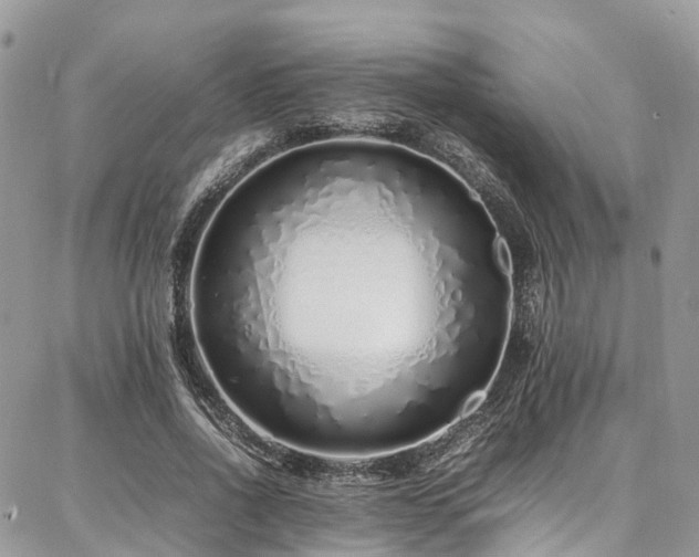 X0000087360734200704201146