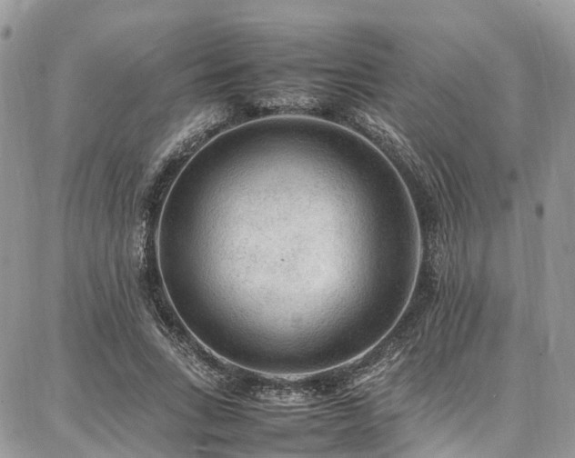 X0000087360735200704201146