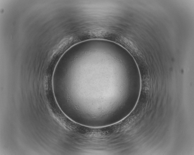 X0000087360738200704201146