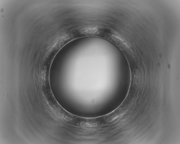 X0000087360739200704201146