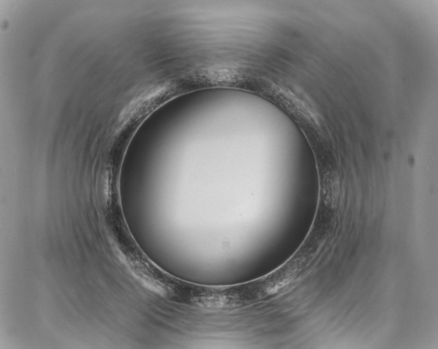 X0000087360740200704201147