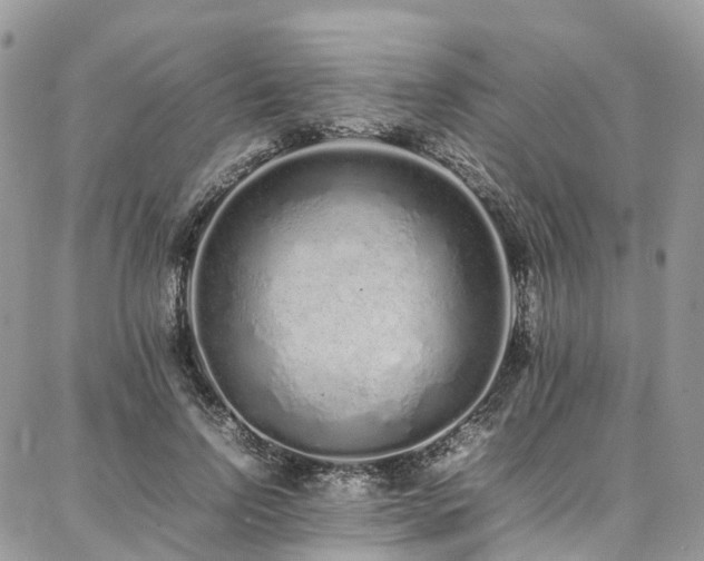 X0000087360742200704201147