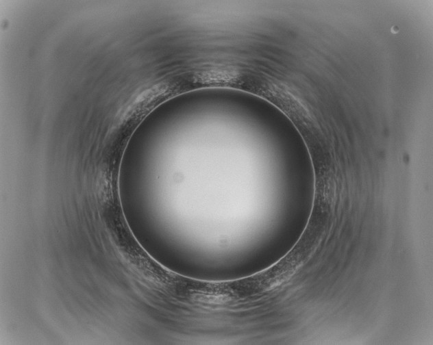 X0000087360743200704201147