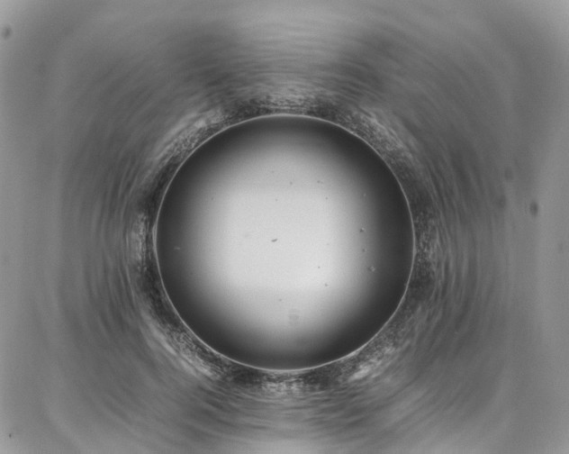 X0000087360744200704201147