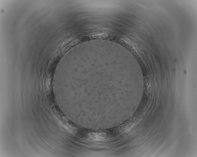 X0000087360745200704201147