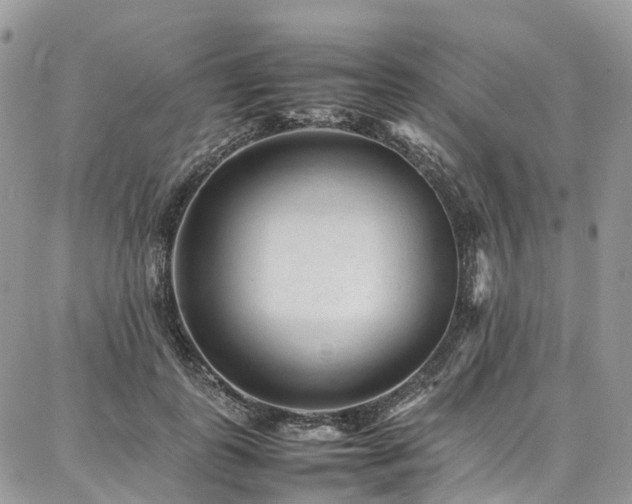 X0000087360747200704201147