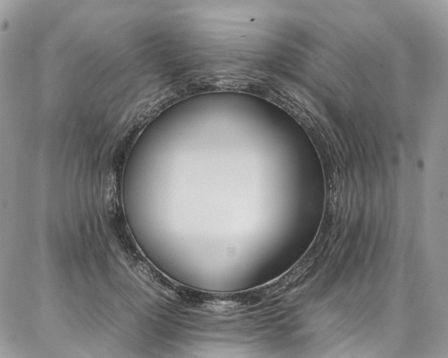X0000087360748200704201147