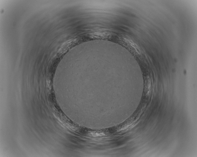 X0000087360749200704201147