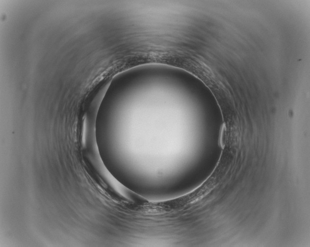 X0000087360750200704201147