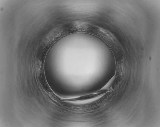 X0000087360752200704201147