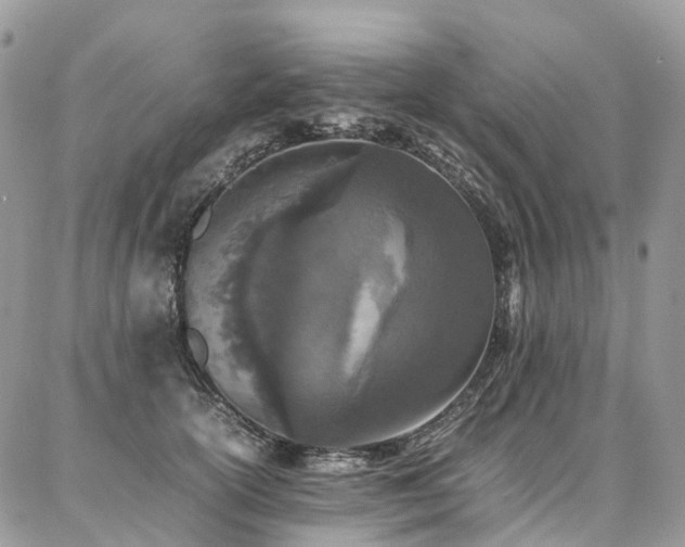 X0000087360754200704201147