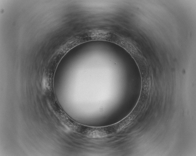 X0000087360755200704201147