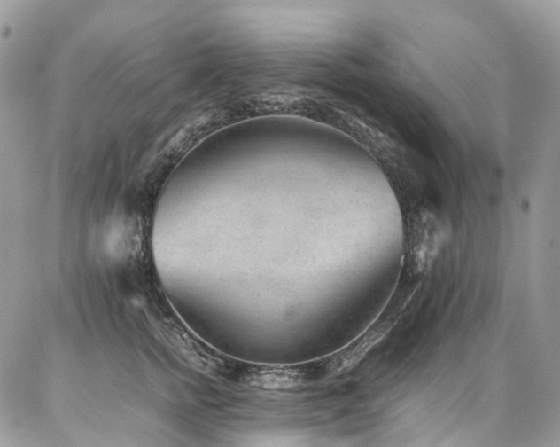 X0000087360758200704201147