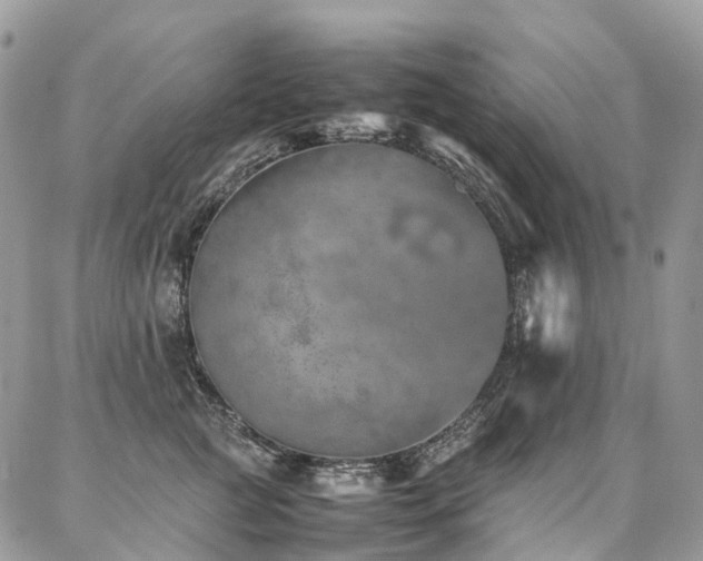 X0000087360761200704201147