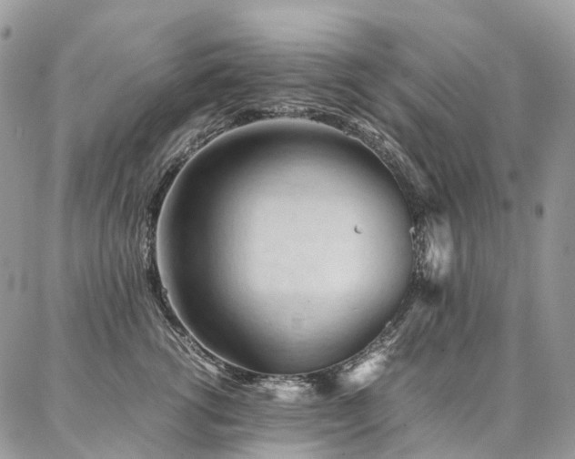 X0000087360762200704201147