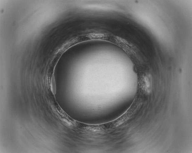 X0000087360763200704201147