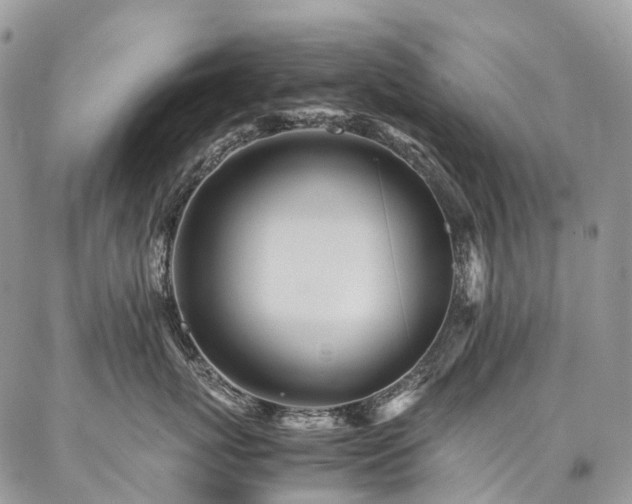 X0000087360767200704201147