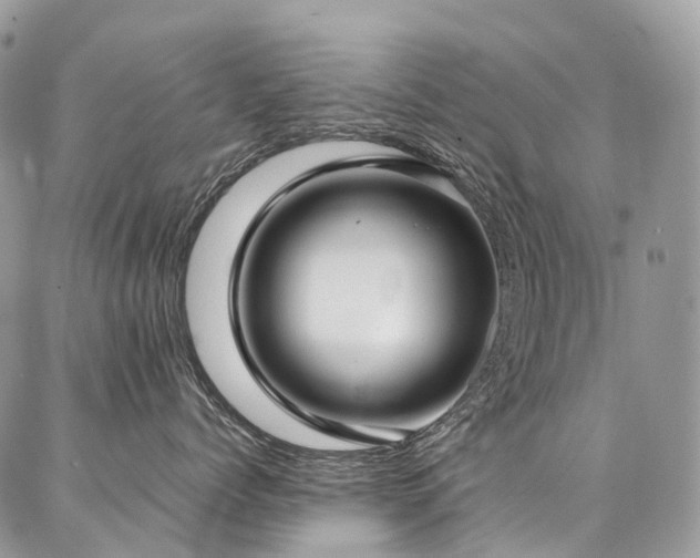 X0000087360768200704201147