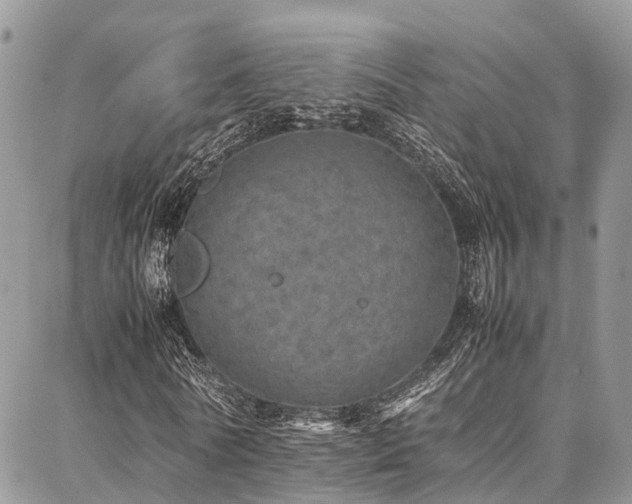 X0000087360770200704201146