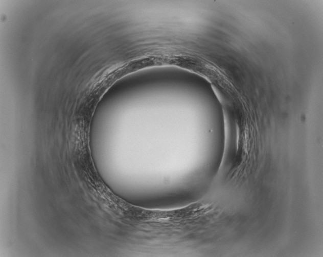 X0000087360773200704201146