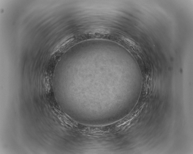 X0000087360774200704201146