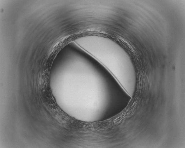X0000087360776200704201146