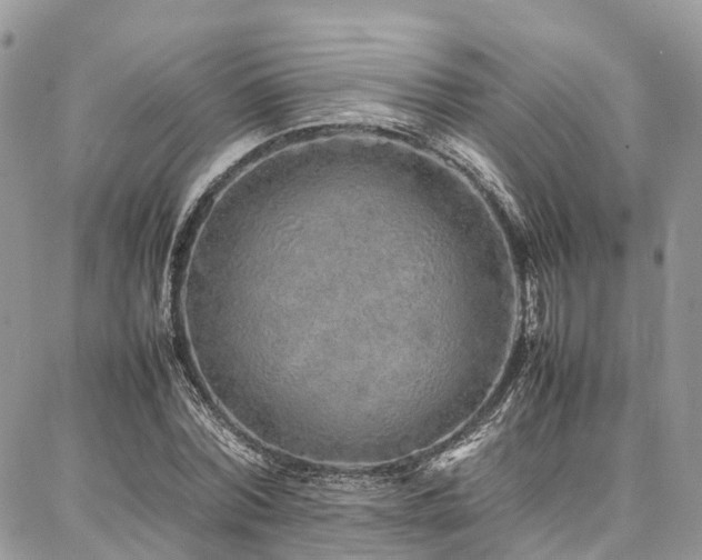 X0000087360780200704201146