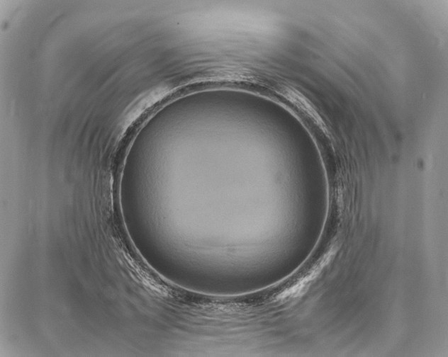 X0000087360781200704201146