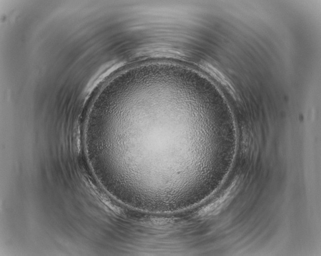 X0000087360782200704201146