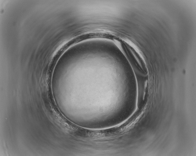 X0000087360783200704201146