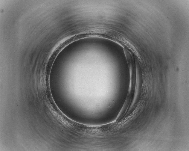 X0000087360784200704201146
