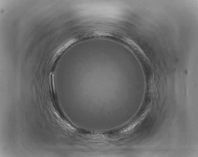 X0000087360785200704201146