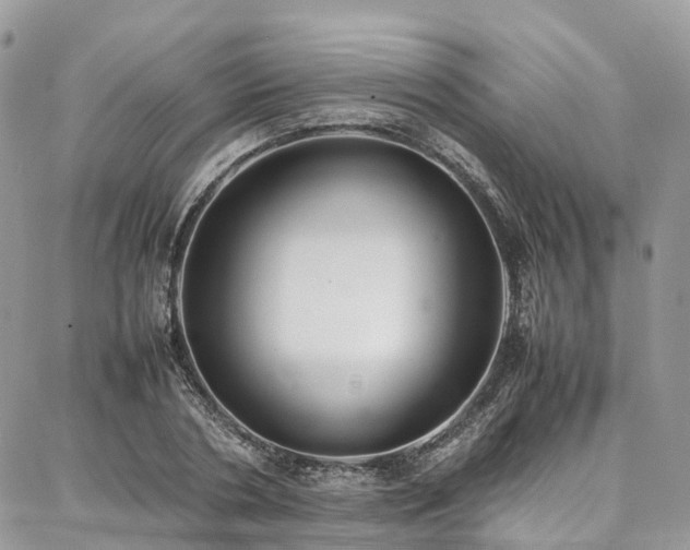 X0000087360786200704201146