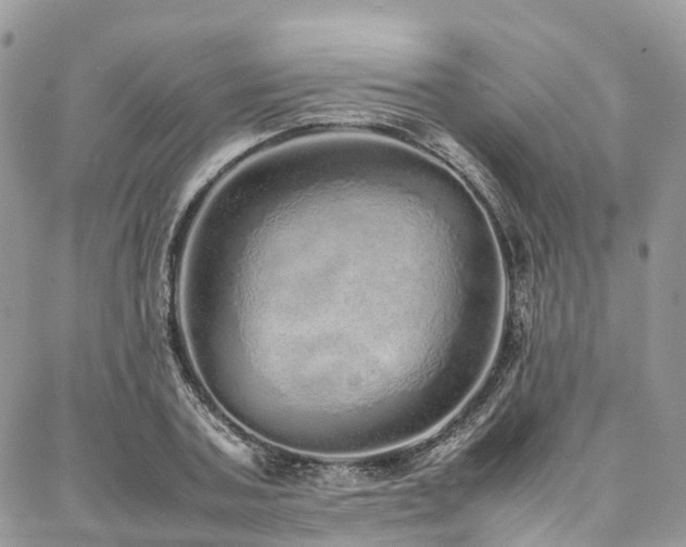 X0000087360787200704201146