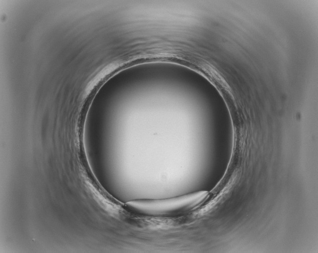 X0000087360789200704201146