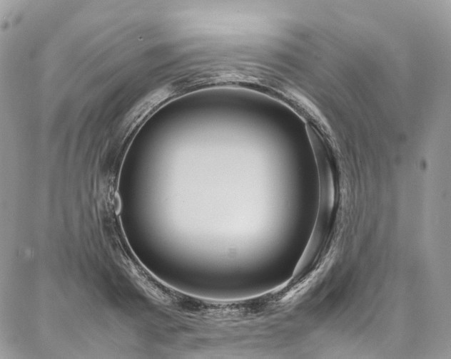 X0000087360793200704201146