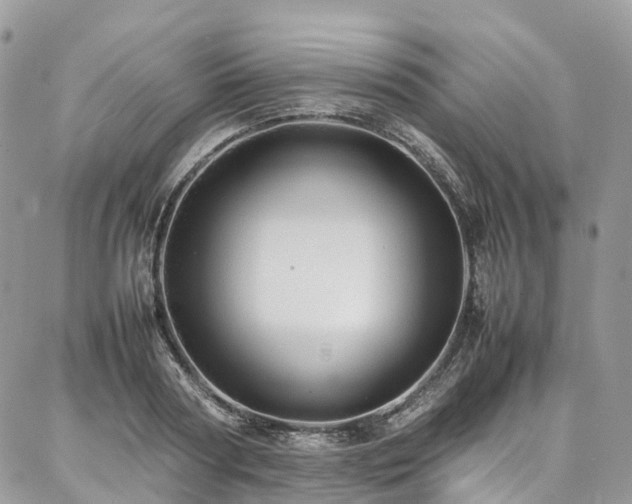 X0000087360794200704201146
