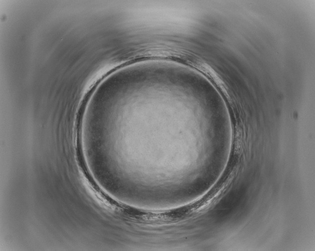 X0000087360795200704201146