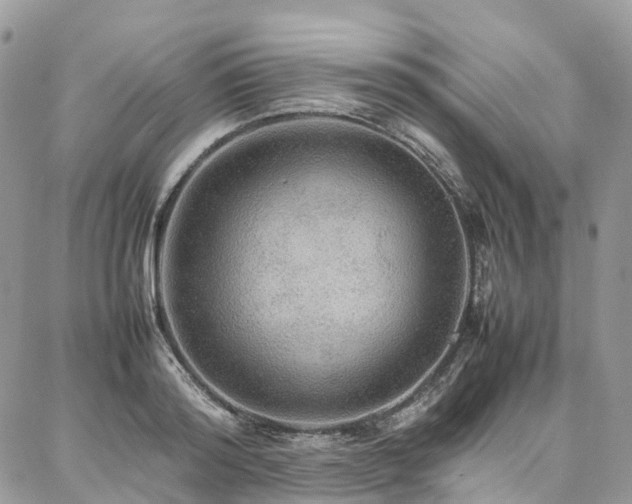 X0000087360796200704201146