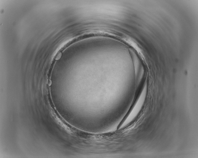 X0000087360799200704201146