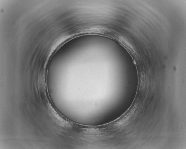 X0000087360800200704201146