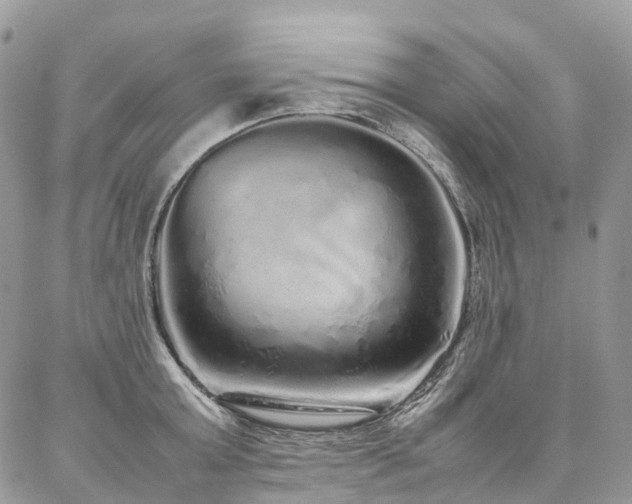 X0000087360803200704201146
