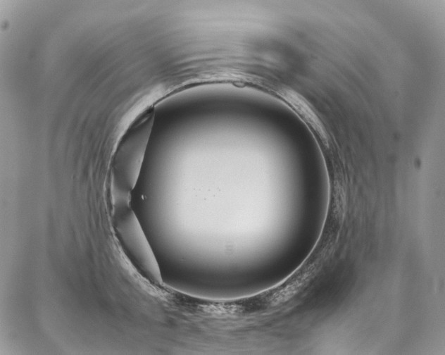 X0000087360805200704201146