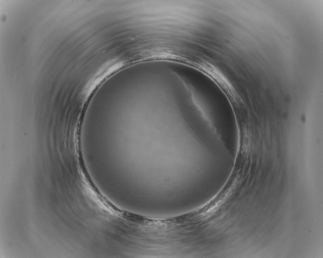 X0000087360806200704201146
