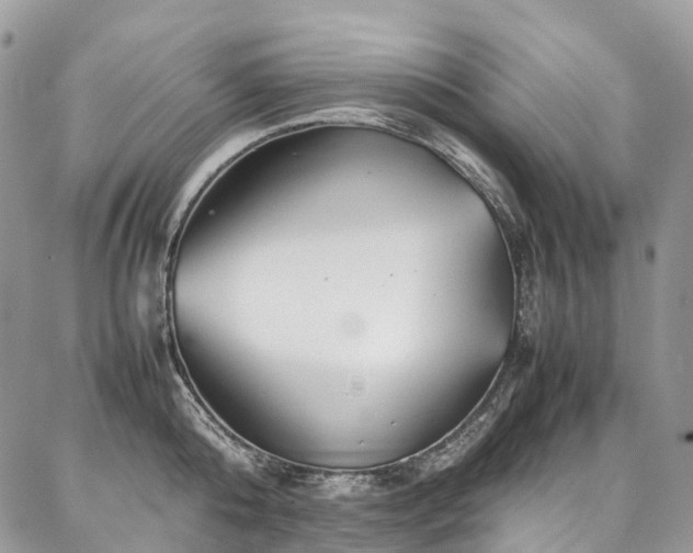 X0000087360808200704201146