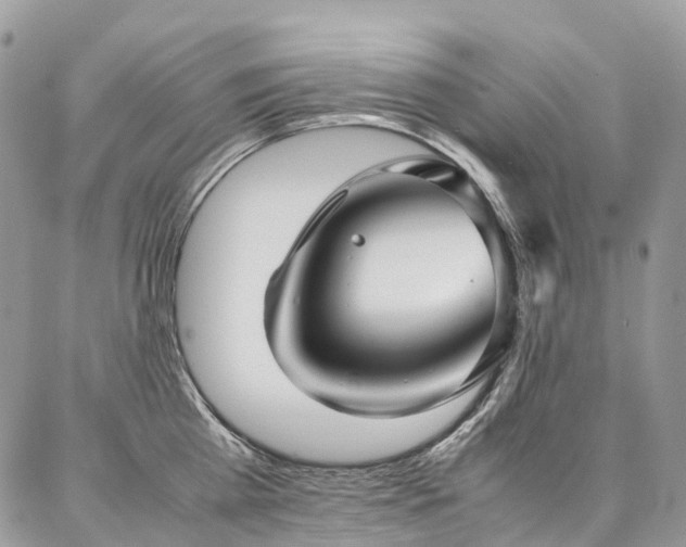 X0000087360809200704201146