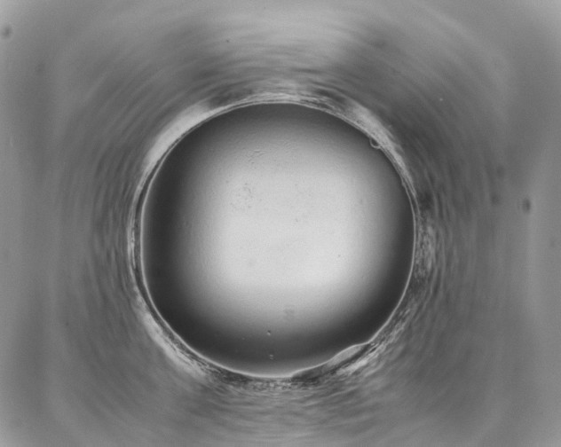 X0000087360811200704201146
