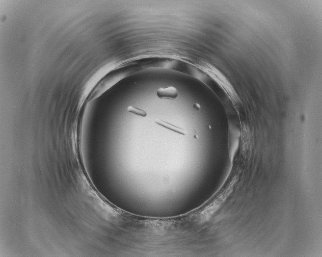 X0000087360812200704201145